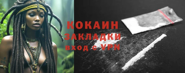 кокс Алексин