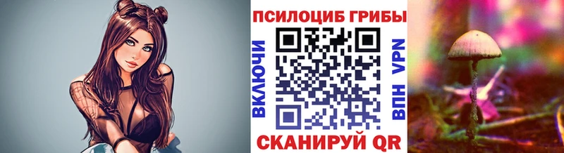 площадка клад Белово Псилоцибиновые грибы Psilocybe